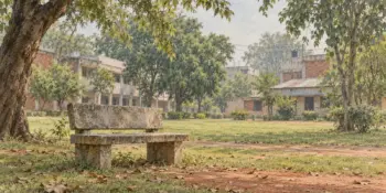 A university lawn with an empty stone bench and fallen leaves